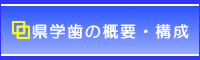 �T�v�E�\��